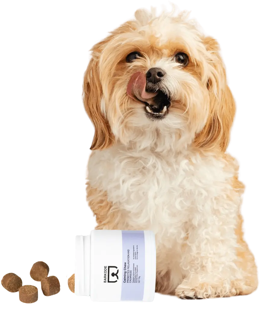 Pas s Calming Chews