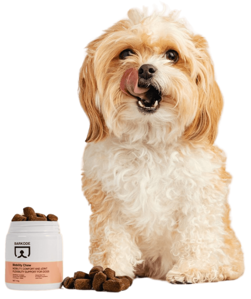 Pas s Mobility Chews