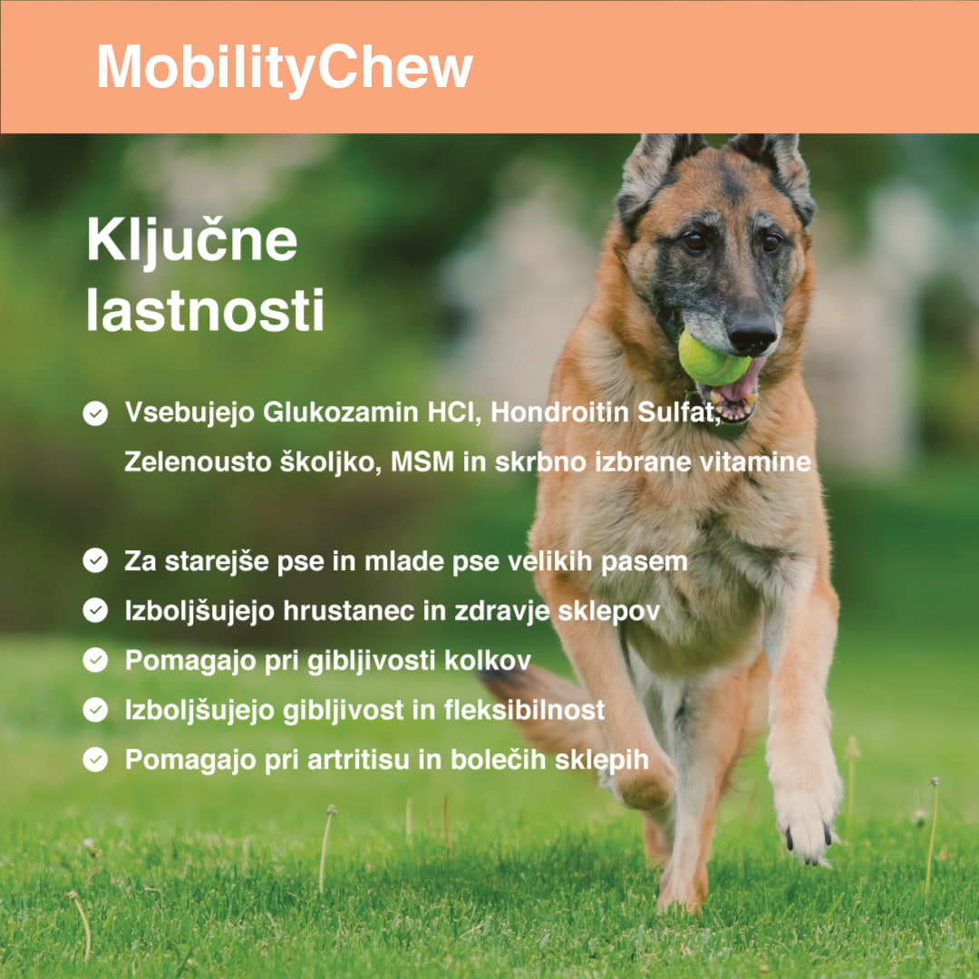Mobility Chew ključne osobine