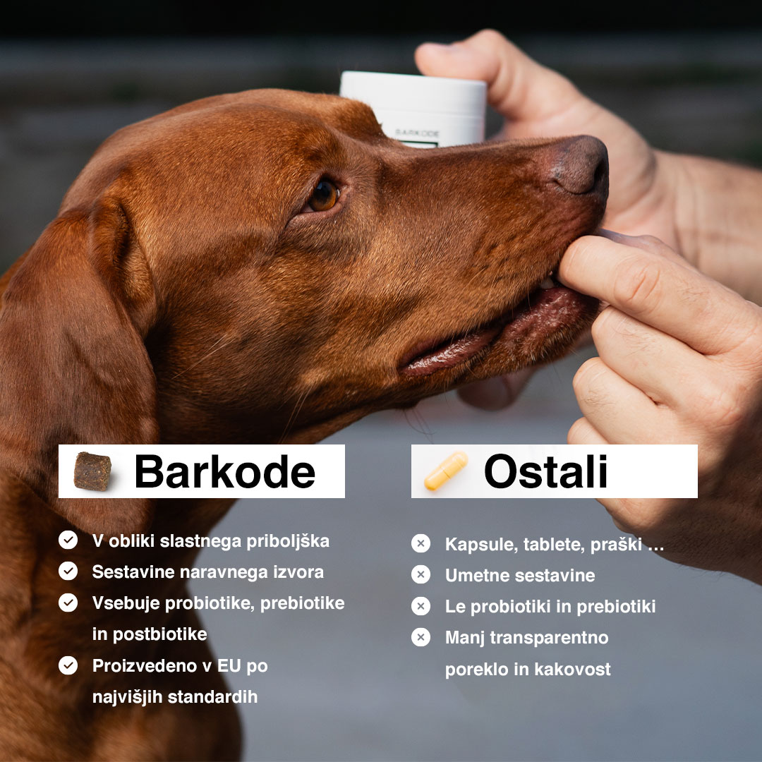 Probiotic Chew ključne osobine