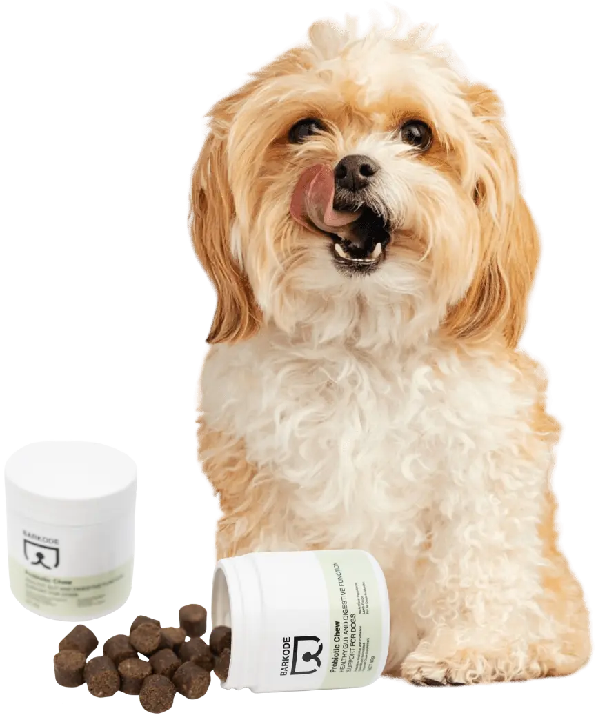Pas s Probiotic Chews